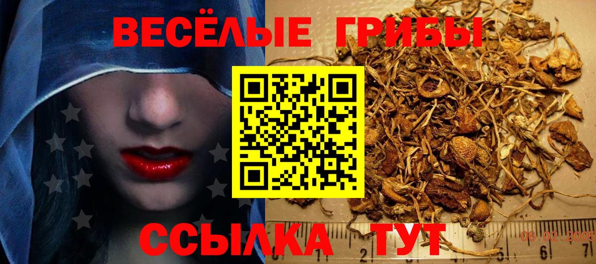 Псилоцибиновые грибы ЛСД  Галлюциногенные грибы MAGIC MUSHROOMS  Зеленогорск  Вход с VPN 