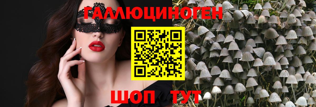 Галлюциногенные грибы GOLDEN TEACHER Зеленогорск